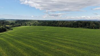 Prodej pozemku 16530 m², Stará Ves nad Ondřejnicí