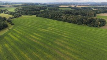 Prodej pozemku 16530 m², Stará Ves nad Ondřejnicí