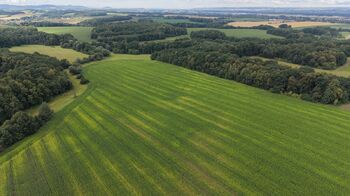 Prodej pozemku 16530 m², Stará Ves nad Ondřejnicí