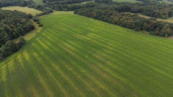 Prodej pozemku 16530 m², Stará Ves nad Ondřejnicí