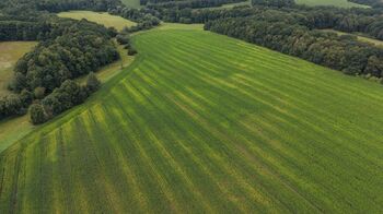 Prodej pozemku 16530 m², Stará Ves nad Ondřejnicí