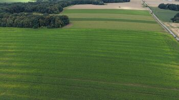 Prodej pozemku 16530 m², Stará Ves nad Ondřejnicí