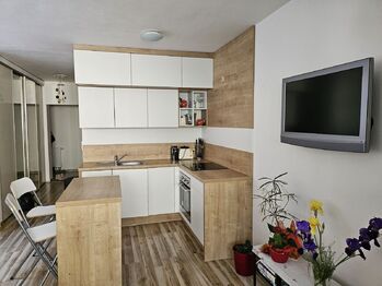 Pronájem bytu 1+kk v družstevním vlastnictví 40 m², Český Těšín