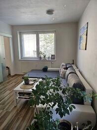 Pronájem bytu 1+kk v družstevním vlastnictví 40 m², Český Těšín