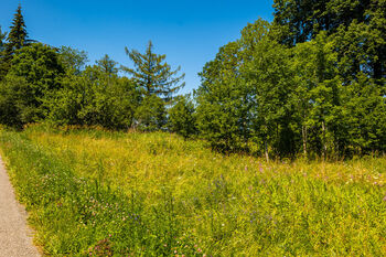 Prodej pozemku 1870 m², Stožec