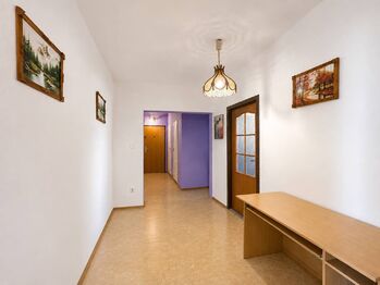 Hala - Prodej bytu 3+1 v osobním vlastnictví 71 m², České Budějovice