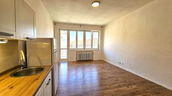 Pronájem bytu 1+kk v osobním vlastnictví 37 m², Praha 6 - Bubeneč