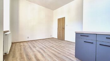 Pronájem bytu 1+1 v osobním vlastnictví 45 m², Litoměřice