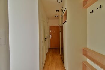 Pronájem bytu 2+1 v družstevním vlastnictví 55 m², Karviná