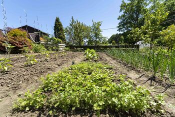 Prodej chaty / chalupy 12 m², Ostrava