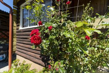 Prodej chaty / chalupy 12 m², Ostrava