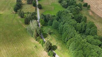 Prodej pozemku 6111 m², Borušov