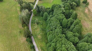 Prodej pozemku 6111 m², Borušov