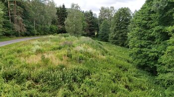 Prodej pozemku 6111 m², Borušov