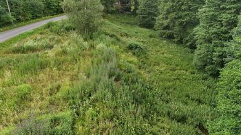 Prodej pozemku 6111 m², Borušov