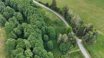 Prodej pozemku 6111 m², Borušov