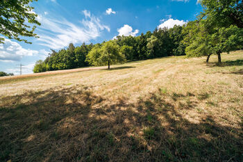 zahrada k lesu foto 4 - Prodej domu 124 m², Lomnice