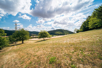 zahrada k lesu foto 7 - Prodej domu 124 m², Lomnice