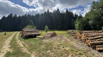 Prodej pozemku 1387 m², Borušov