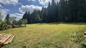 Prodej pozemku 1387 m², Borušov