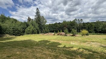 Prodej pozemku 1387 m², Borušov
