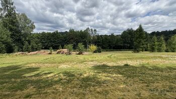Prodej pozemku 1387 m², Borušov