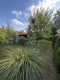 Prodej chaty / chalupy 40 m², Sadov