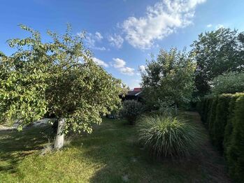 Prodej chaty / chalupy 40 m², Sadov