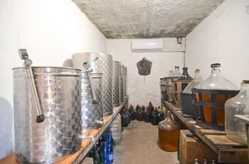 Prodej vinného sklepa 35 m², Tvrdonice