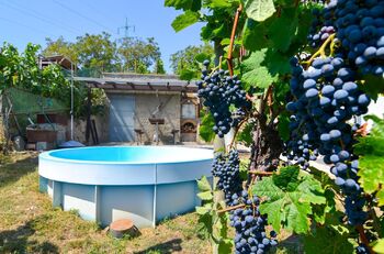 Prodej vinného sklepa 35 m², Tvrdonice