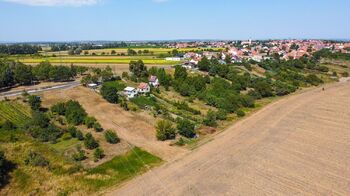 Prodej vinného sklepa 35 m², Tvrdonice
