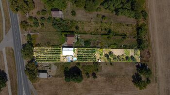 Prodej vinného sklepa 35 m², Tvrdonice