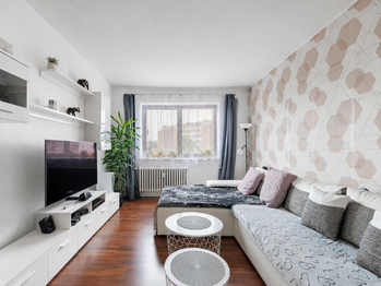 Pronájem bytu 2+1 v osobním vlastnictví 54 m², Praha 3 - Žižkov