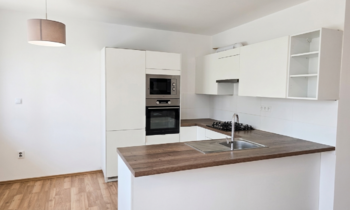 Kuchyň - Pronájem bytu 3+kk v osobním vlastnictví 61 m², Praha 4 - Nusle
