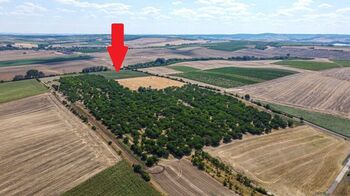 Prodej pozemku 39611 m², Valtice