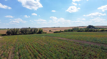 Prodej pozemku 39611 m², Valtice