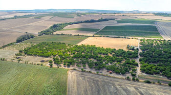 Prodej pozemku 39611 m², Valtice