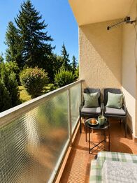 Prodej bytu 1+1 v osobním vlastnictví 29 m², Praha 4 - Michle