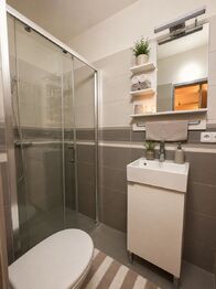 Prodej bytu 1+1 v osobním vlastnictví 29 m², Praha 4 - Michle