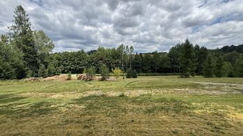 Prodej pozemku 990 m², Borušov