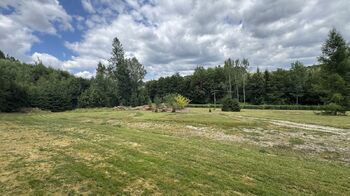 Prodej pozemku 990 m², Borušov