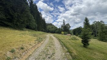 Prodej pozemku 990 m², Borušov