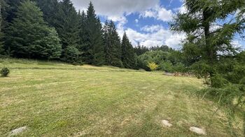 Prodej pozemku 805 m², Borušov