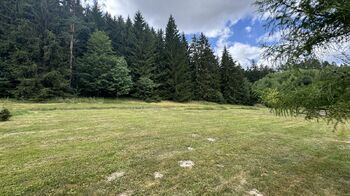 Prodej pozemku 805 m², Borušov