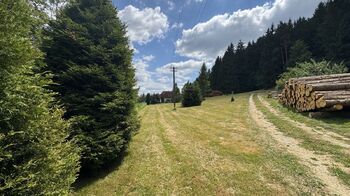 Prodej pozemku 805 m², Borušov