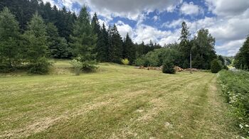 Prodej pozemku 960 m², Borušov