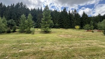 Prodej pozemku 960 m², Borušov