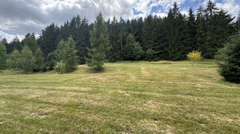 Prodej pozemku 960 m², Borušov