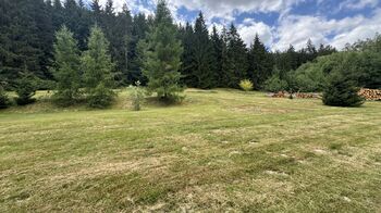 Prodej pozemku 960 m², Borušov