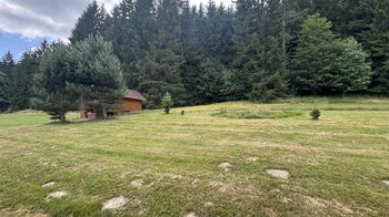 Prodej pozemku 670 m², Borušov